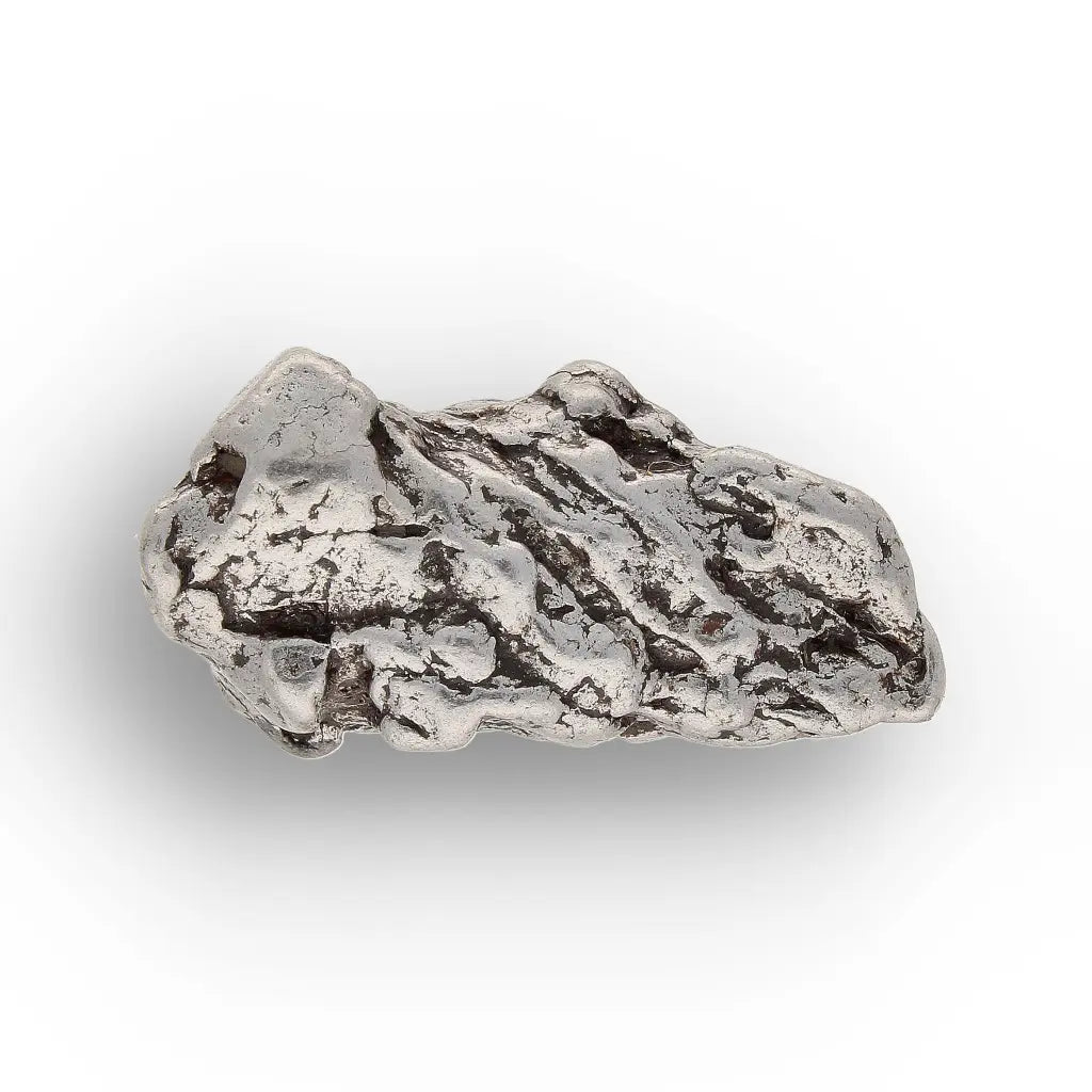 Get your From Ancient Seas to Falling Stars – A Fossil & Meteorite Treasure Chest online now or in store at Forever Gems in Franschhoek, South Africa
