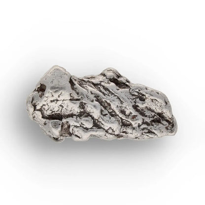 Get your From Ancient Seas to Falling Stars – A Fossil & Meteorite Treasure Chest online now or in store at Forever Gems in Franschhoek, South Africa