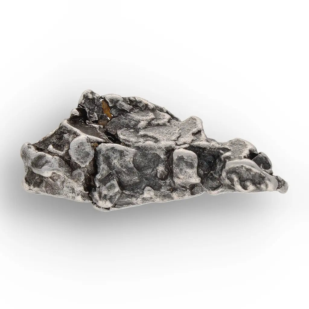 Get your From Ancient Seas to Falling Stars – A Fossil & Meteorite Treasure Chest online now or in store at Forever Gems in Franschhoek, South Africa