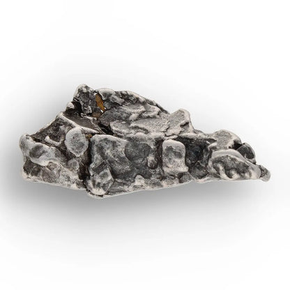 Get your From Ancient Seas to Falling Stars – A Fossil & Meteorite Treasure Chest online now or in store at Forever Gems in Franschhoek, South Africa