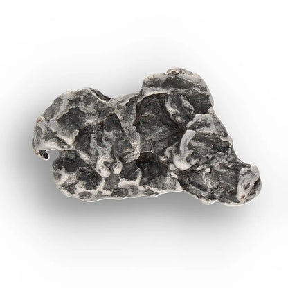 Get your From Ancient Seas to Falling Stars – A Fossil & Meteorite Treasure Chest online now or in store at Forever Gems in Franschhoek, South Africa