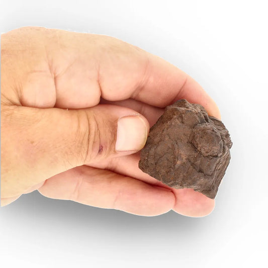 Get your Prophecy Stone – Natural Hematite & Goethite Pseudomorph from the Sahara online now or in store at Forever Gems in Franschhoek, South Africa