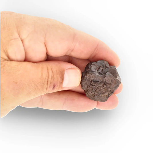 Get your Prophecy Stone – Authentic Sahara Desert Mineral of Transformation online now or in store at Forever Gems in Franschhoek, South Africa