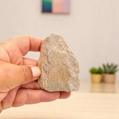 Prehistoric Treasures: The Ultimate Fossil Gift Box!