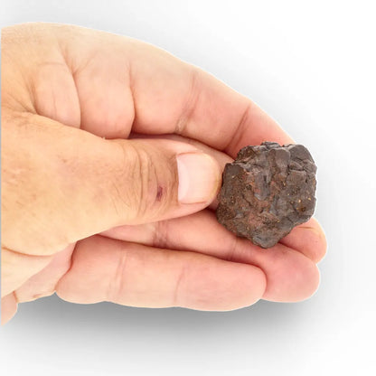 Get your Prophecy Stone – Ancient Desert Formation from Egypt & Libya online now or in store at Forever Gems in Franschhoek, South Africa