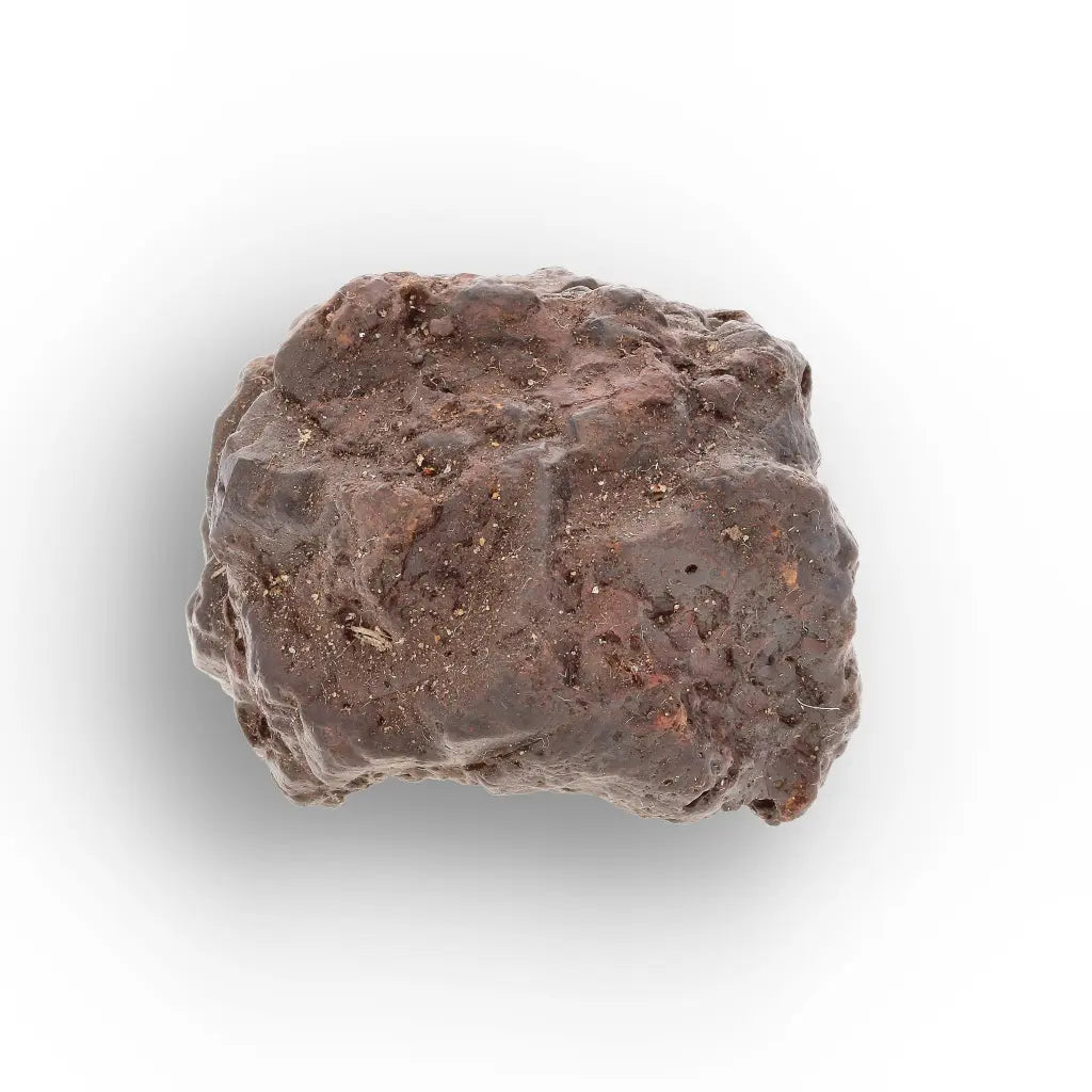 Get your Prophecy Stone – Ancient Desert Formation from Egypt & Libya online now or in store at Forever Gems in Franschhoek, South Africa