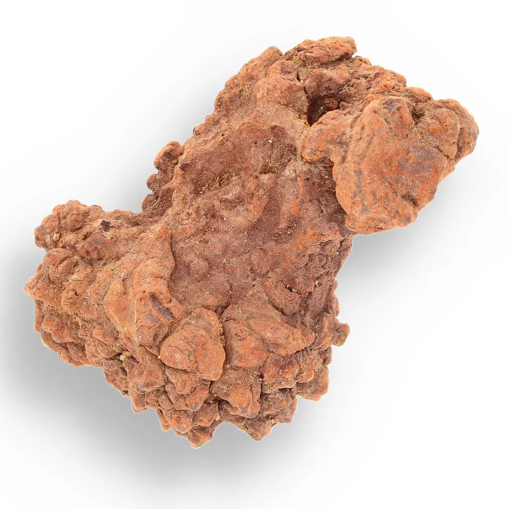 Get your Coprolite - Real Prehistoric Turtle Poo, Mahajanga Province online now or in store at Forever Gems in Franschhoek, South Africa