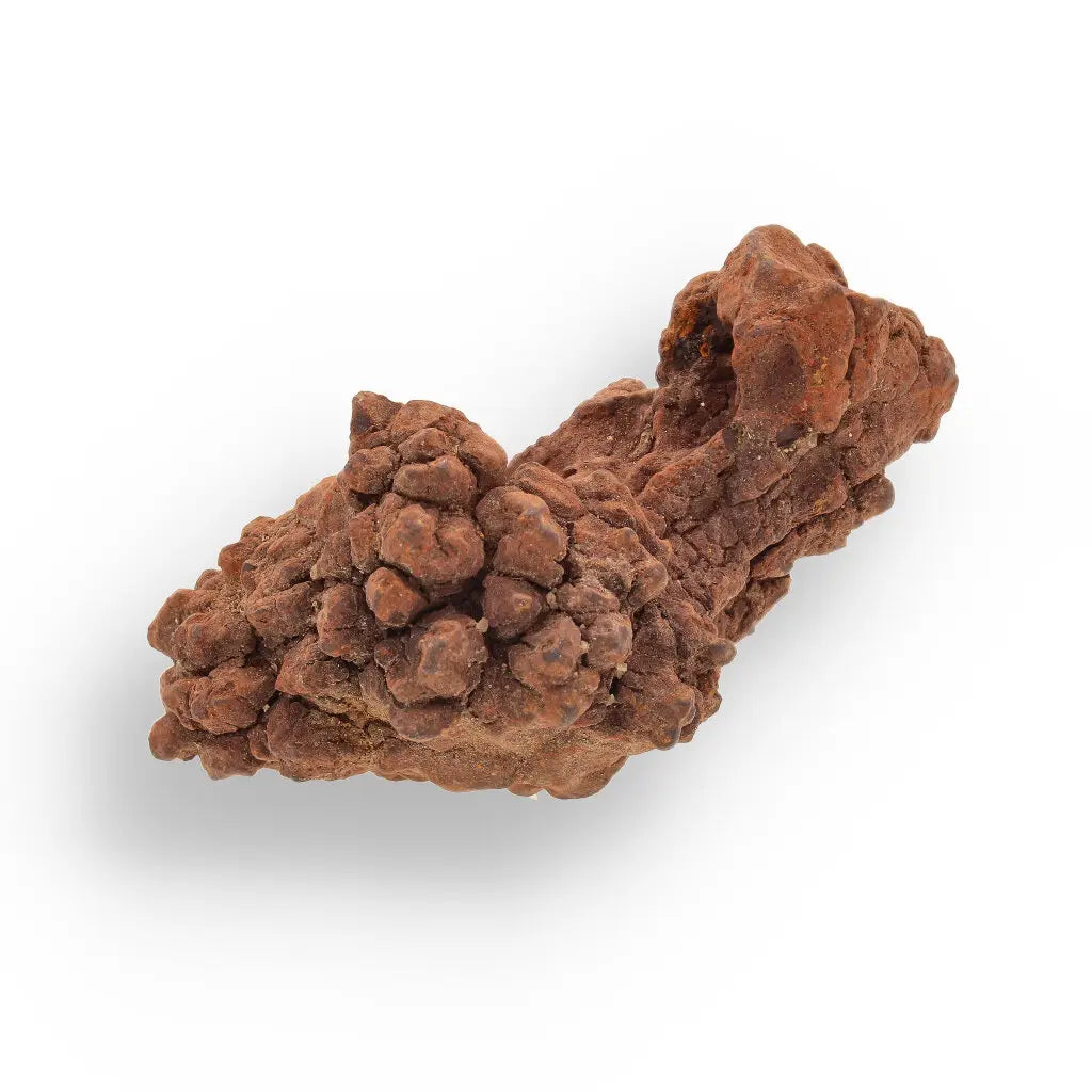 Get your Coprolite - Real Prehistoric Turtle Poo, Mahajanga Province online now or in store at Forever Gems in Franschhoek, South Africa