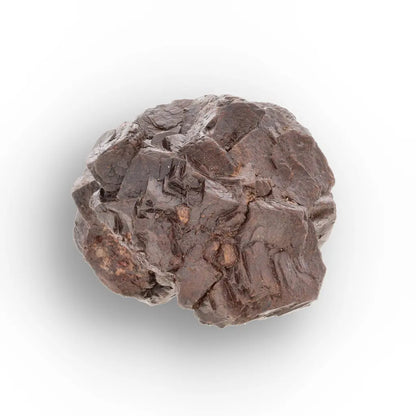 Get your Prophecy Stone – Powerful Grounding Crystal from the Sahara Desert online now or in store at Forever Gems in Franschhoek, South Africa