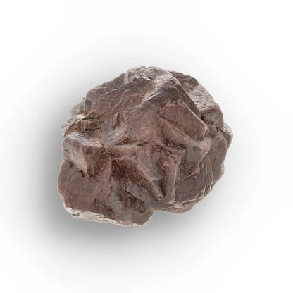 Get your Prophecy Stone – Powerful Grounding Crystal from the Sahara Desert online now or in store at Forever Gems in Franschhoek, South Africa