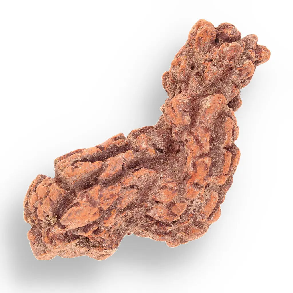 Get your Coprolite Madagascar: Fossilized Turtle Poo from Prehistory online now or in store at Forever Gems in Franschhoek, South Africa