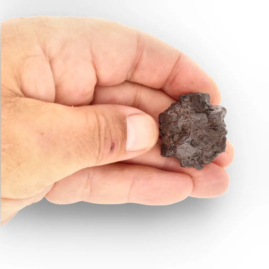 Get your Prophecy Stone – Rare Sahara Desert Mineral for Collectors & Healers online now or in store at Forever Gems in Franschhoek, South Africa