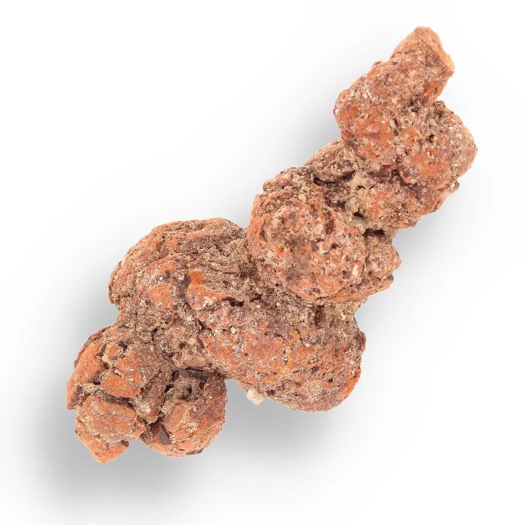Get your Coprolite Fossil: Million-Year-Old Turtle Poo, Mahajanga online now or in store at Forever Gems in Franschhoek, South Africa