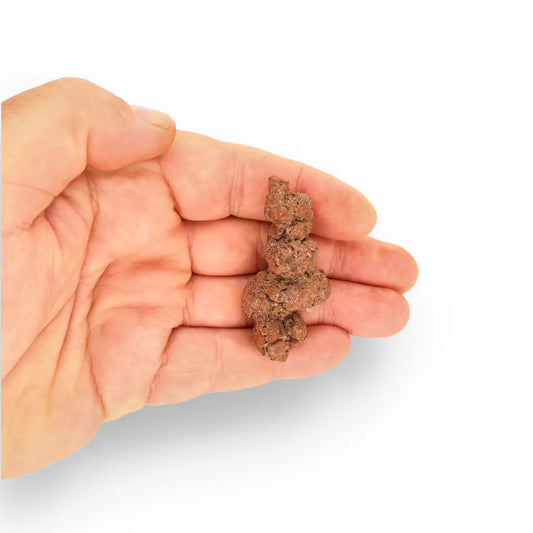 Get your Coprolite Fossil: Million-Year-Old Turtle Poo, Mahajanga online now or in store at Forever Gems in Franschhoek, South Africa