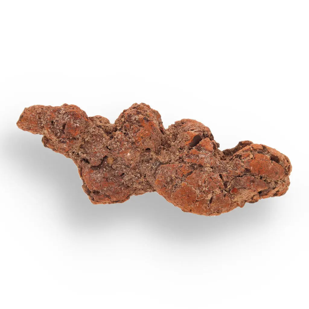 Get your Coprolite Fossil: Million-Year-Old Turtle Poo, Mahajanga online now or in store at Forever Gems in Franschhoek, South Africa