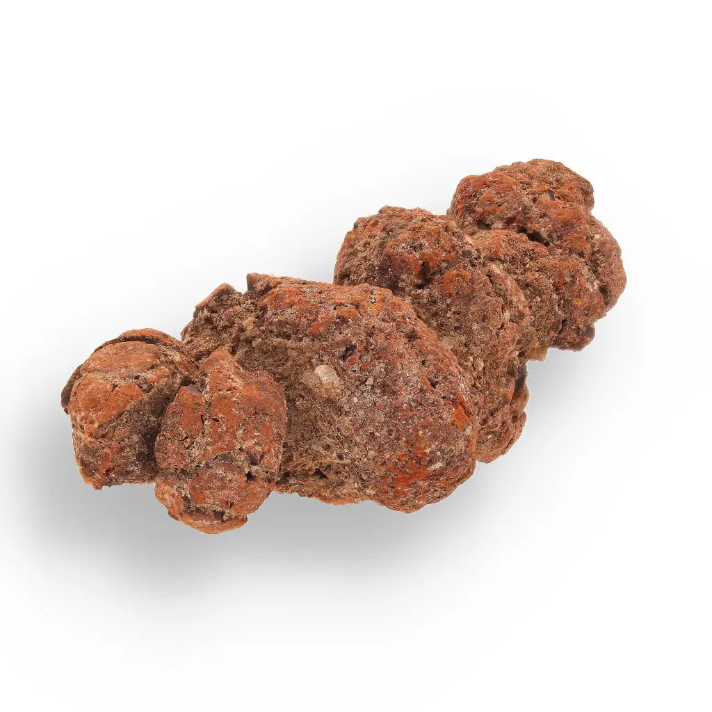 Get your Coprolite Fossil: Million-Year-Old Turtle Poo, Mahajanga online now or in store at Forever Gems in Franschhoek, South Africa