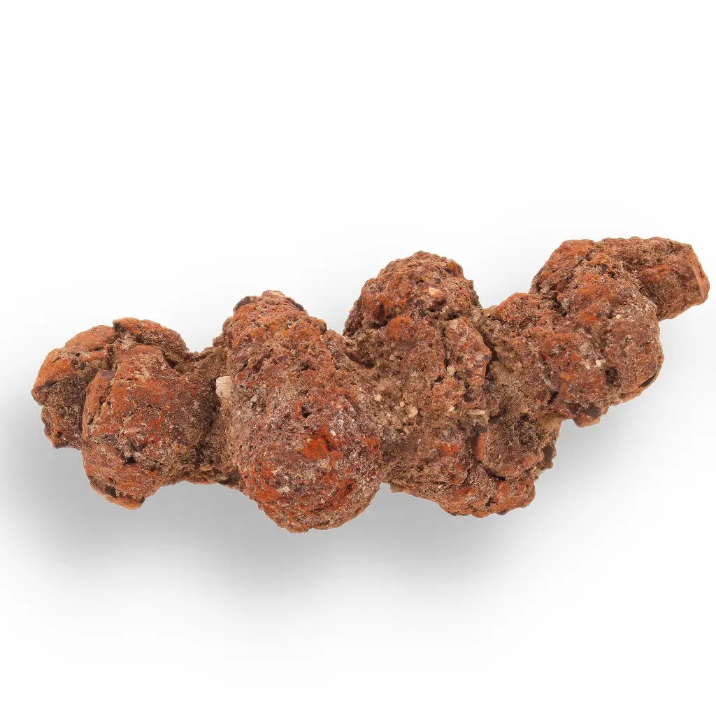 Get your Coprolite Fossil: Million-Year-Old Turtle Poo, Mahajanga online now or in store at Forever Gems in Franschhoek, South Africa