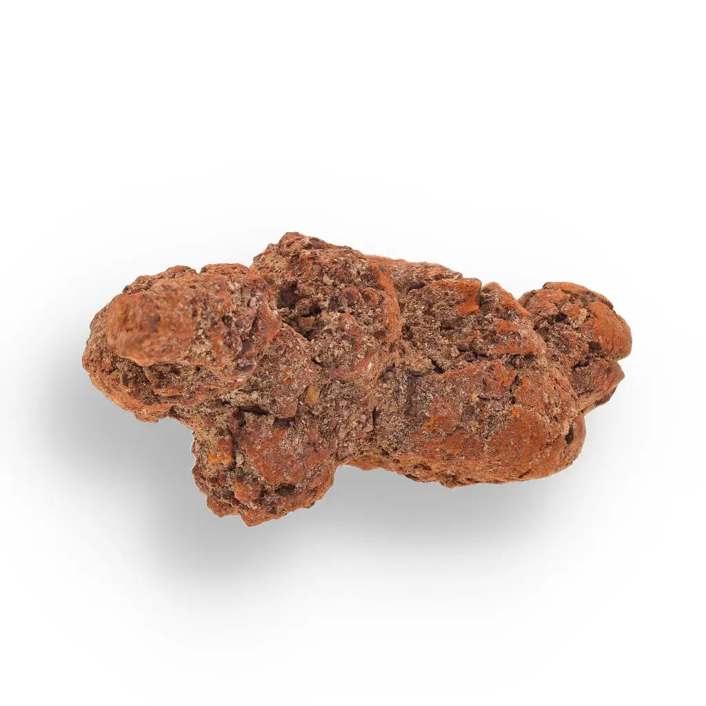 Get your Coprolite Fossil: Million-Year-Old Turtle Poo, Mahajanga online now or in store at Forever Gems in Franschhoek, South Africa