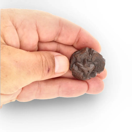 Get your Prophecy Stone – Authentic Sahara Pseudomorph Crystal of Insight online now or in store at Forever Gems in Franschhoek, South Africa