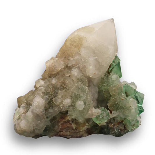 Buy your Unique Cactus Quartz with Lustrous Green Fluorite from Riemvasmaak online now or in store at Forever Gems in Franschhoek, South Africa