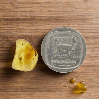 Get your Real Baltic Amber - Fossil Insect from 40 Million Years online now or in store at Forever Gems in Franschhoek, South Africa