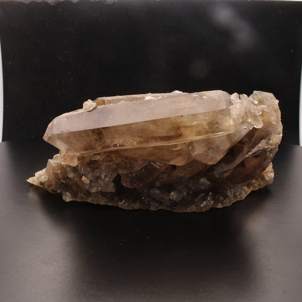 Buy your Smoky Quartz Large Cluster (Steinkopf) online now or in store at Forever Gems in Franschhoek, South Africa