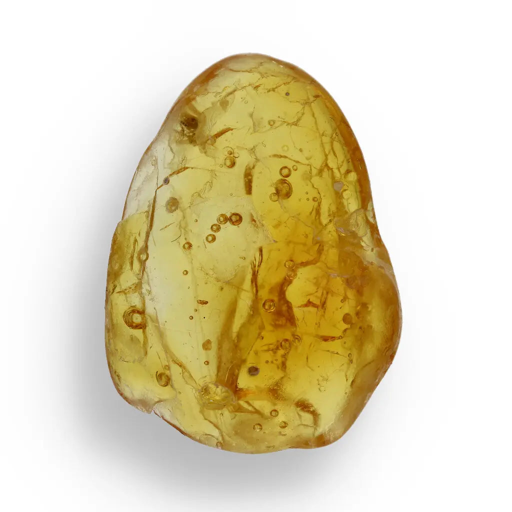 Get your Natural Baltic Amber - Prehistoric Insect Preserved online now or in store at Forever Gems in Franschhoek, South Africa
