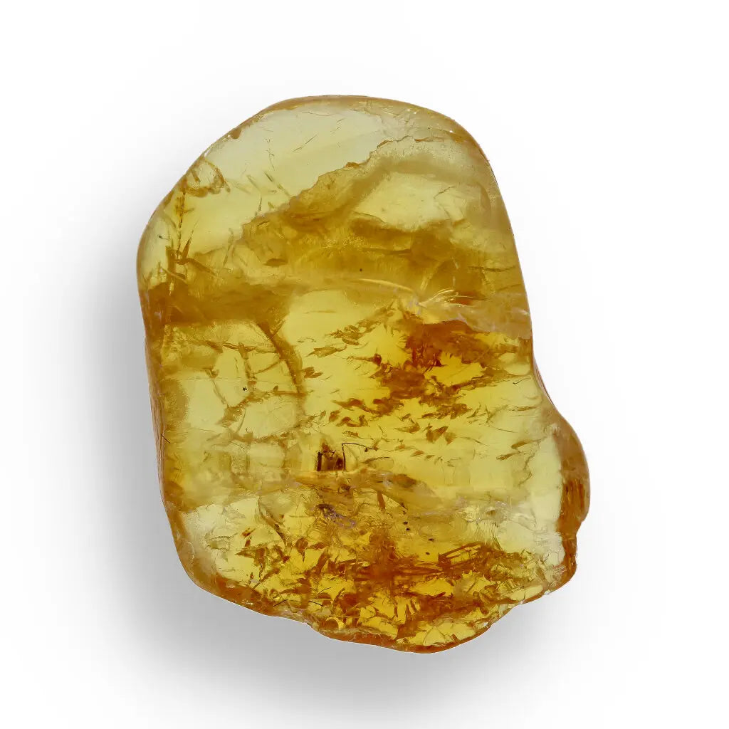 Get your Real Baltic Amber Fossil with Insect Inside online now or in store at Forever Gems in Franschhoek, South Africa