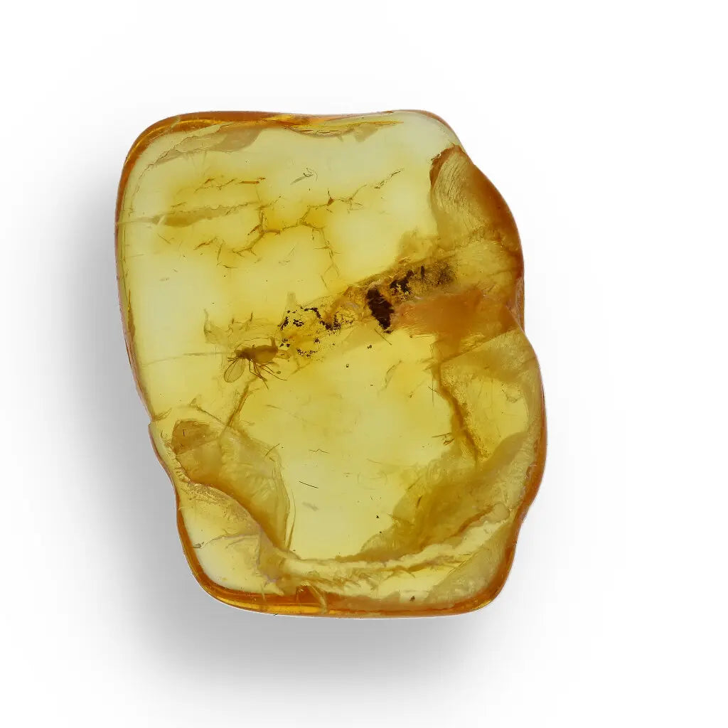 Get your Genuine Baltic Amber: Ancient Insect Time Capsule Retry online now or in store at Forever Gems in Franschhoek, South Africa