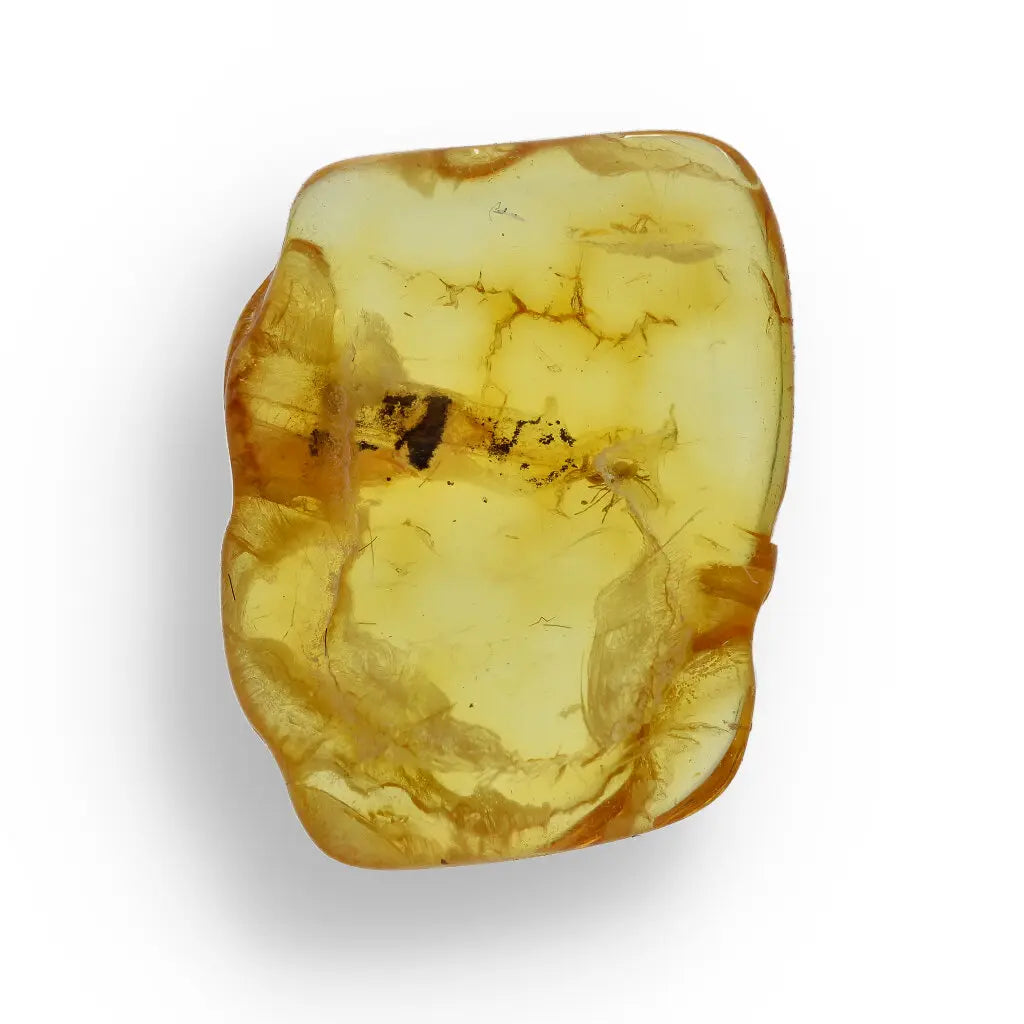Get your Genuine Baltic Amber: Ancient Insect Time Capsule Retry online now or in store at Forever Gems in Franschhoek, South Africa