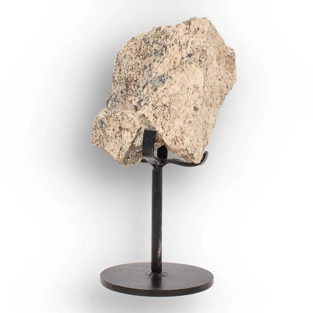 Get your Eocene Megacerops Fossil Bone from South Dakota Badlands online now or in store at Forever Gems in Franschhoek, South Africa