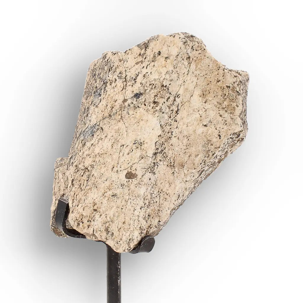 Get your Eocene Megacerops Fossil Bone from South Dakota Badlands online now or in store at Forever Gems in Franschhoek, South Africa