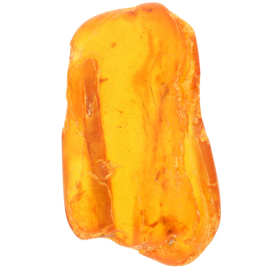 Buy your Rare Baltic Amber online now or in store at Forever Gems in Franschhoek, South Africa