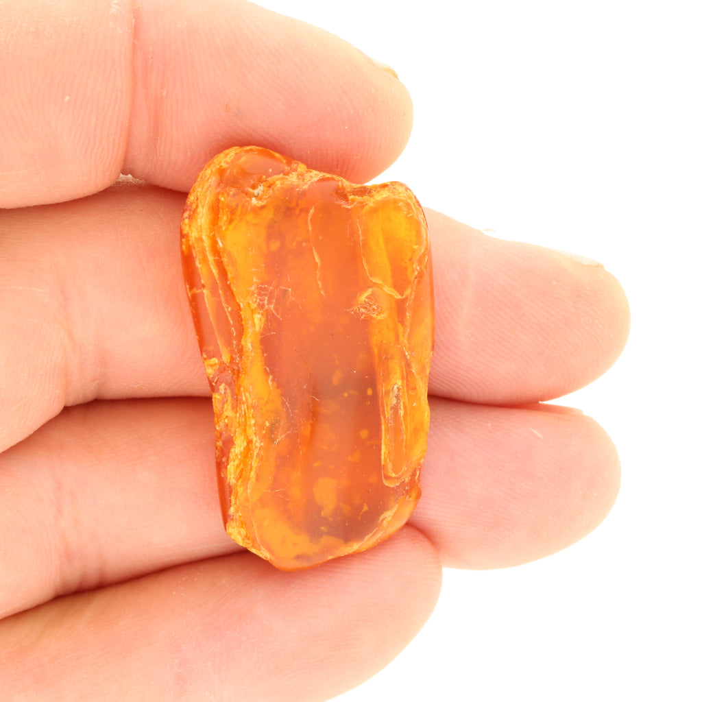 Buy your Rare Baltic Amber online now or in store at Forever Gems in Franschhoek, South Africa