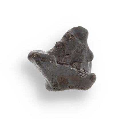 Get your 21g Gibeon IVA Iron Meteorite - 4 Billion Year Space Specimen online now or in store at Forever Gems in Franschhoek, South Africa