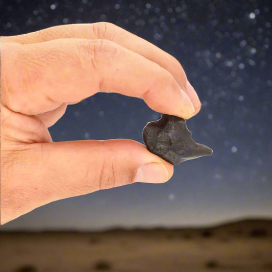 Get your 21g Gibeon IVA Iron Meteorite - 4 Billion Year Space Specimen online now or in store at Forever Gems in Franschhoek, South Africa