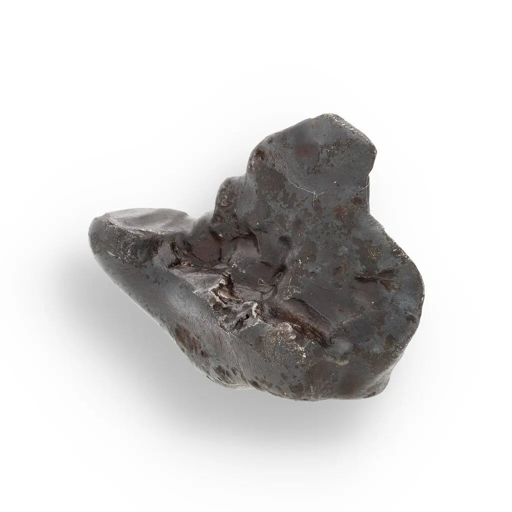 Get your 21g Gibeon IVA Iron Meteorite - 4 Billion Year Space Specimen online now or in store at Forever Gems in Franschhoek, South Africa