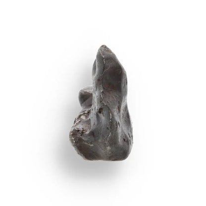 Get your 21g Gibeon IVA Iron Meteorite - 4 Billion Year Space Specimen online now or in store at Forever Gems in Franschhoek, South Africa