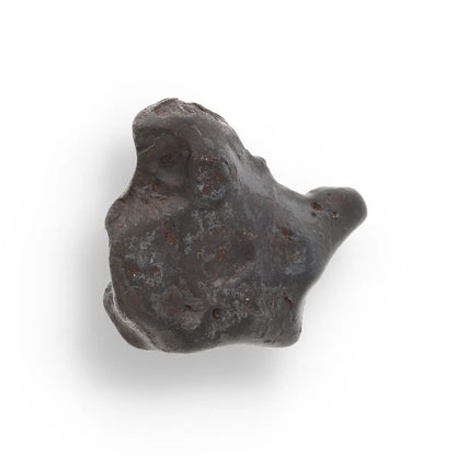 Get your 21g Gibeon IVA Iron Meteorite - 4 Billion Year Space Specimen online now or in store at Forever Gems in Franschhoek, South Africa