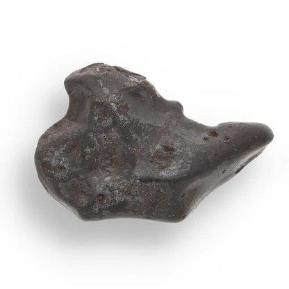 Get your 21g Gibeon IVA Iron Meteorite - 4 Billion Year Space Specimen online now or in store at Forever Gems in Franschhoek, South Africa