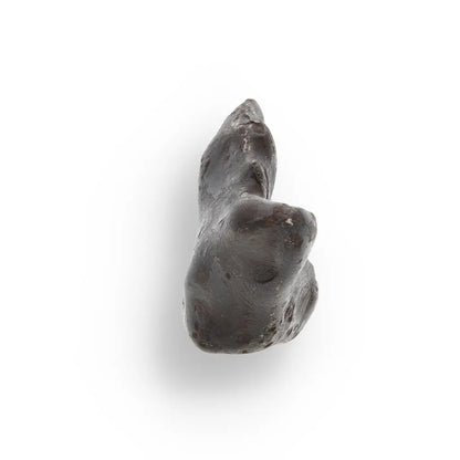Get your 21g Gibeon IVA Iron Meteorite - 4 Billion Year Space Specimen online now or in store at Forever Gems in Franschhoek, South Africa