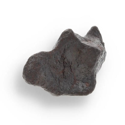 Get your 14g Gibeon Meteorite - Ancient Stardust from Namibian Skies online now or in store at Forever Gems in Franschhoek, South Africa