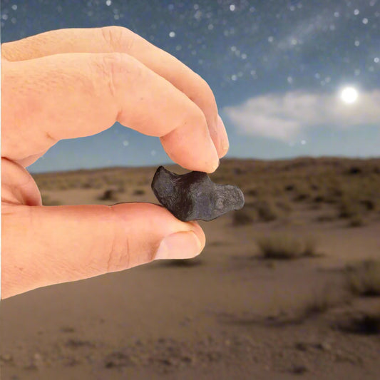 Get your 14g Gibeon Meteorite - Ancient Stardust from Namibian Skies online now or in store at Forever Gems in Franschhoek, South Africa