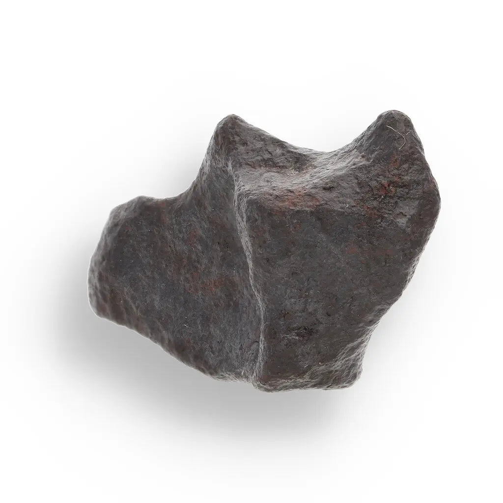Get your 14g Gibeon Meteorite - Ancient Stardust from Namibian Skies online now or in store at Forever Gems in Franschhoek, South Africa