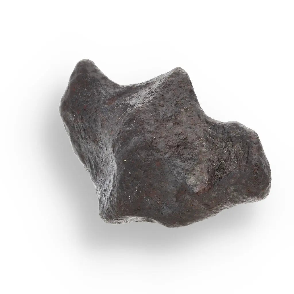 Get your 14g Gibeon Meteorite - Ancient Stardust from Namibian Skies online now or in store at Forever Gems in Franschhoek, South Africa