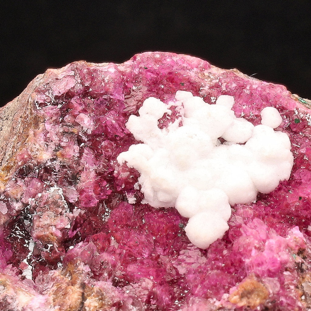 Buy your Cobaltoan Calcite on Matrix online now or in store at Forever Gems in Franschhoek, South Africa