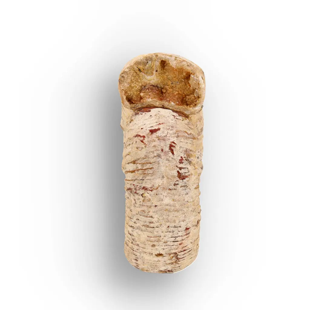 Get your Madagascar Cleoniceras Fossil Spiral online now or in store at Forever Gems in Franschhoek, South Africa