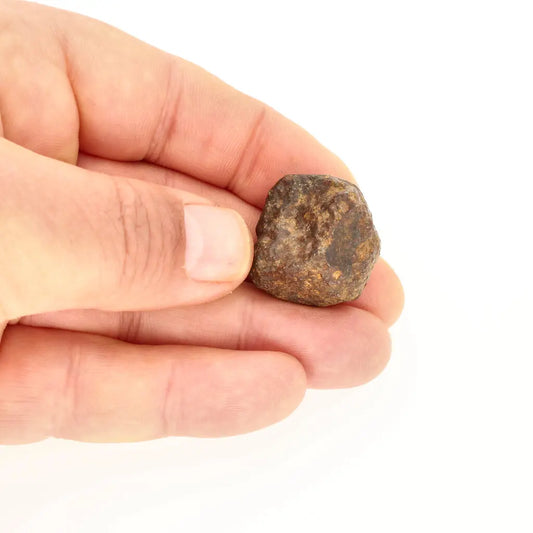 Get your 22g Unclassified Chondrite Meteorite - Affordable Gateway to Cosmic Collecting from Morocco online now or in store at Forever Gems in Franschhoek, South Africa