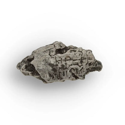 Authentic Campo del Cielo Meteorite 15g Iron Fragment
