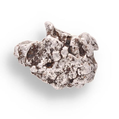 Get your 17g Campo del Cielo Meteorite - Real Space Rock from Historic 100 Ton Fall online now or in store at Forever Gems in Franschhoek, South Africa